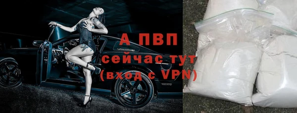 эйфоретик Карпинск