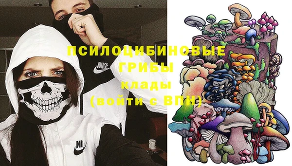 эйфоретик Карпинск