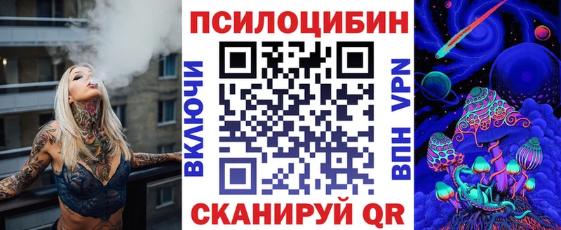 Купить где  Инза  Псилоцибиновые грибы Cubensis 
